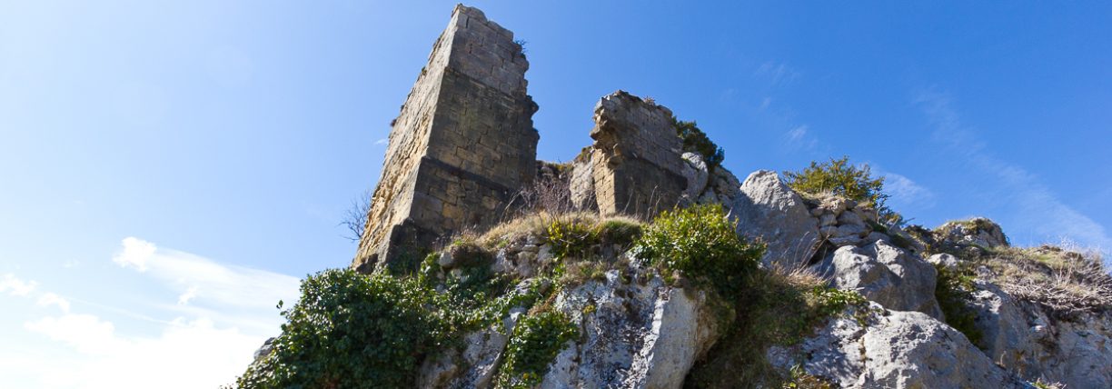 Château de Roquefixade
